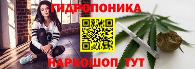 шишки Гусев