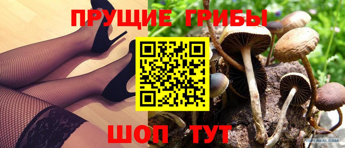 Галлюциногенные грибы ЛСД Нарткала