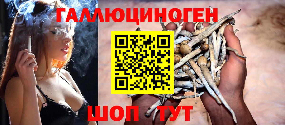Нарткала  Галлюциногенные грибы MAGIC MUSHROOMS  Вход с VPN  Галлюциногенные грибы мицелий 